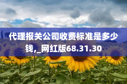 代理报关公司收费标准是多少钱,_网红版68.31.30