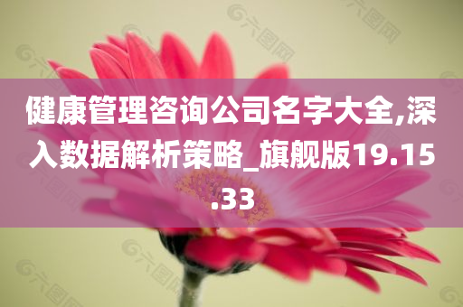 健康管理咨询公司名字大全,深入数据解析策略_旗舰版19.15.33