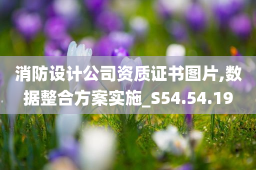 消防设计公司资质证书图片,数据整合方案实施_S54.54.19