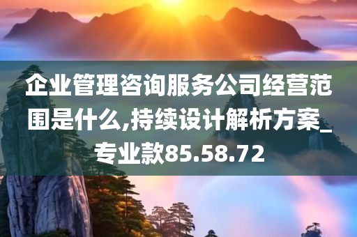 企业管理咨询服务公司经营范围是什么,持续设计解析方案_专业款85.58.72