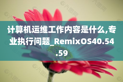 计算机运维工作内容是什么,专业执行问题_RemixOS40.54.59