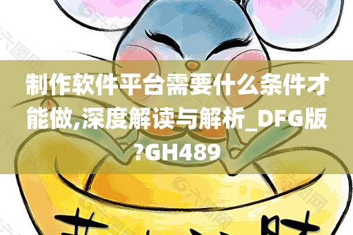 制作软件平台需要什么条件才能做,深度解读与解析_DFG版?GH489