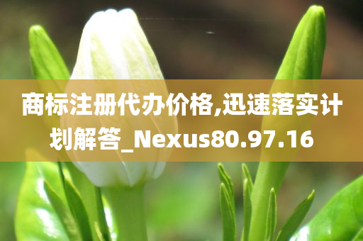 商标注册代办价格,迅速落实计划解答_Nexus80.97.16