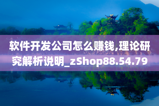 软件开发公司怎么赚钱,理论研究解析说明_zShop88.54.79