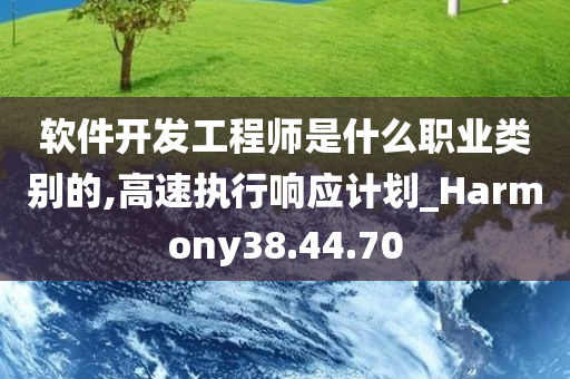 软件开发工程师是什么职业类别的,高速执行响应计划_Harmony38.44.70