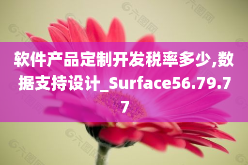 软件产品定制开发税率多少,数据支持设计_Surface56.79.77