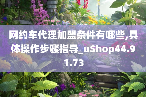 网约车代理加盟条件有哪些,具体操作步骤指导_uShop44.91.73