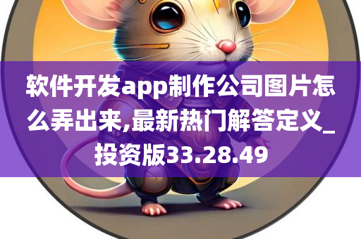 软件开发app制作公司图片怎么弄出来,最新热门解答定义_投资版33.28.49