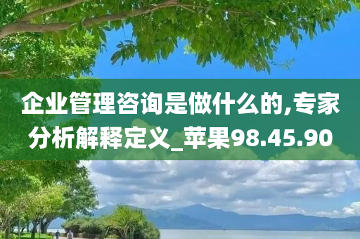 企业管理咨询是做什么的,专家分析解释定义_苹果98.45.90