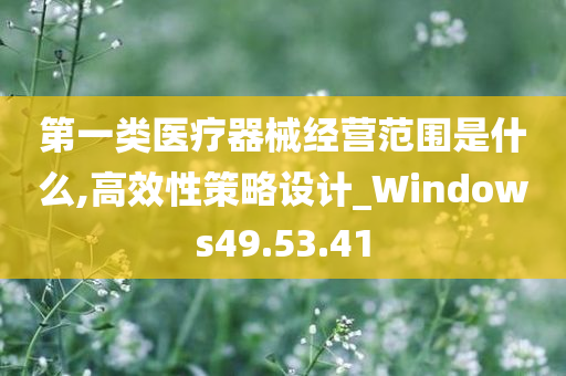 第一类医疗器械经营范围是什么,高效性策略设计_Windows49.53.41