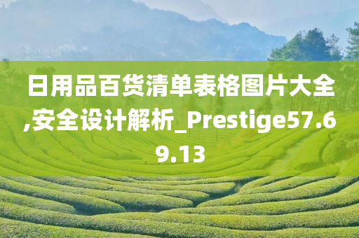 日用品百货清单表格图片大全,安全设计解析_Prestige57.69.13