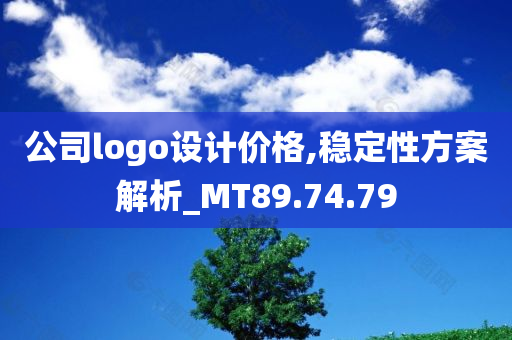 公司logo设计价格,稳定性方案解析_MT89.74.79