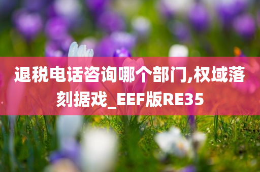 退税电话咨询哪个部门,权域落刻据戏_EEF版RE35