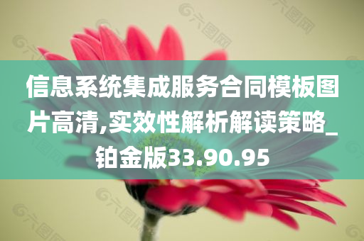 信息系统集成服务合同模板图片高清,实效性解析解读策略_铂金版33.90.95