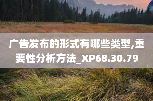 广告发布的形式有哪些类型,重要性分析方法_XP68.30.79