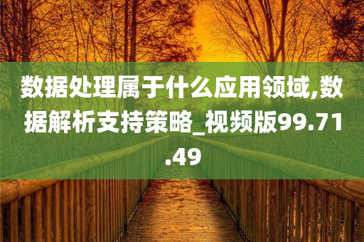 数据处理属于什么应用领域,数据解析支持策略_视频版99.71.49