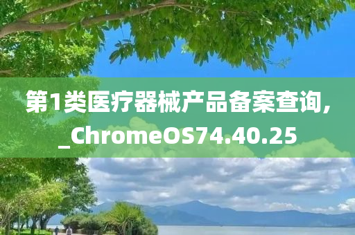 第1类医疗器械产品备案查询,_ChromeOS74.40.25