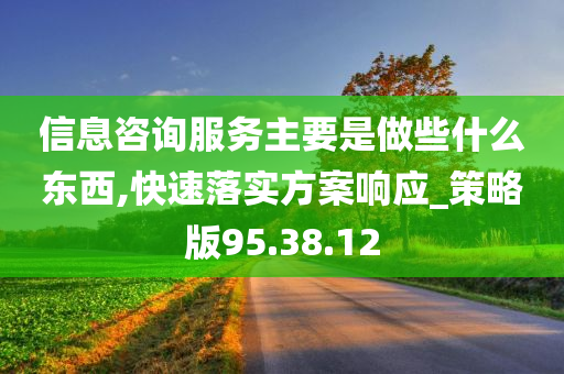 信息咨询服务主要是做些什么东西,快速落实方案响应_策略版95.38.12