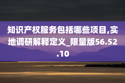 知识产权服务包括哪些项目,实地调研解释定义_限量版56.52.10