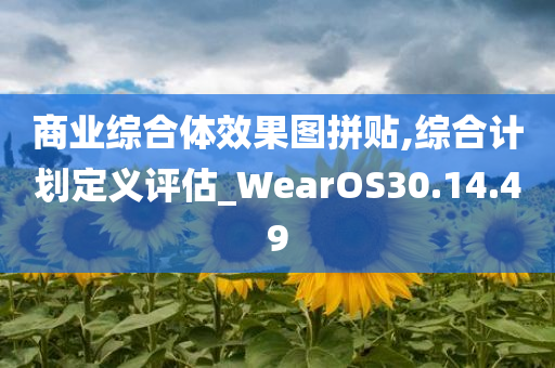 商业综合体效果图拼贴,综合计划定义评估_WearOS30.14.49