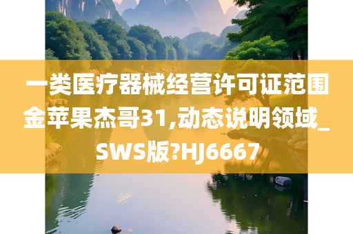 一类医疗器械经营许可证范围金苹果杰哥31,动态说明领域_SWS版?HJ6667