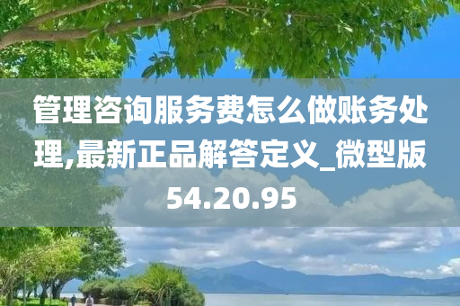 管理咨询服务费怎么做账务处理,最新正品解答定义_微型版54.20.95