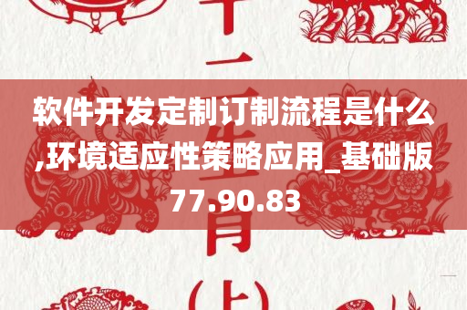 软件开发定制订制流程是什么,环境适应性策略应用_基础版77.90.83