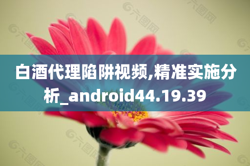 白酒代理陷阱视频,精准实施分析_android44.19.39