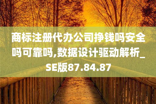 商标注册代办公司挣钱吗安全吗可靠吗,数据设计驱动解析_SE版87.84.87