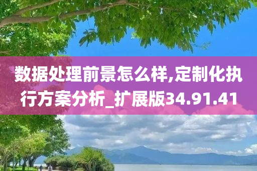 数据处理前景怎么样,定制化执行方案分析_扩展版34.91.41