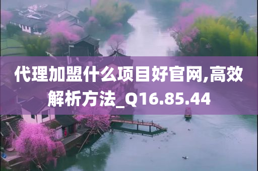 代理加盟什么项目好官网,高效解析方法_Q16.85.44