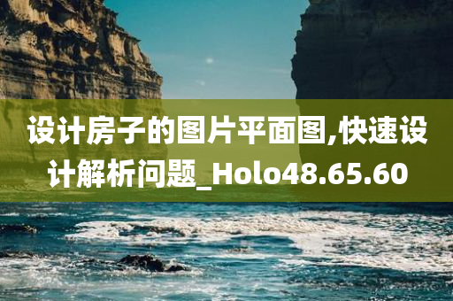 设计房子的图片平面图,快速设计解析问题_Holo48.65.60