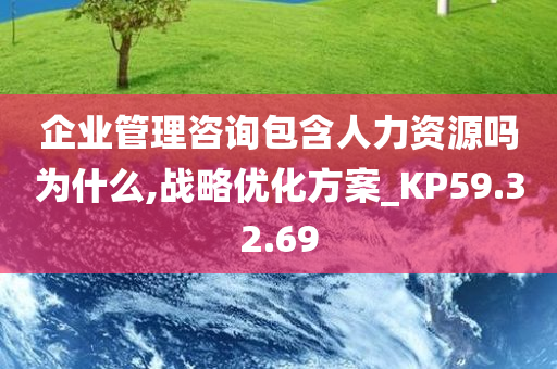 企业管理咨询包含人力资源吗为什么,战略优化方案_KP59.32.69