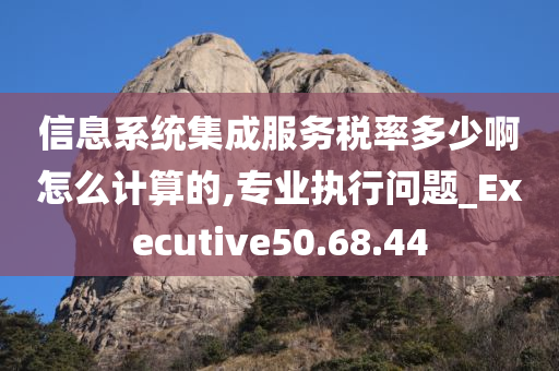 信息系统集成服务税率多少啊怎么计算的,专业执行问题_Executive50.68.44