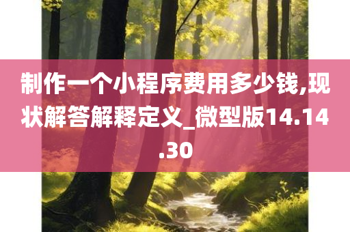 制作一个小程序费用多少钱,现状解答解释定义_微型版14.14.30