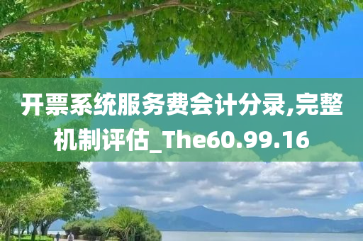 开票系统服务费会计分录,完整机制评估_The60.99.16