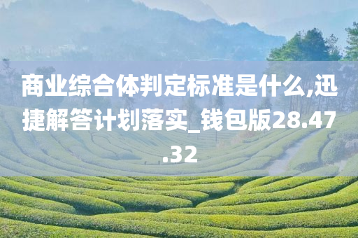 商业综合体判定标准是什么,迅捷解答计划落实_钱包版28.47.32