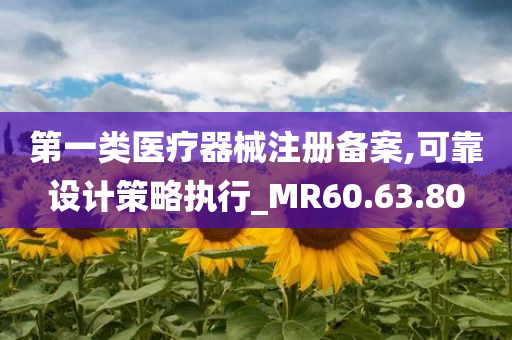 第一类医疗器械注册备案,可靠设计策略执行_MR60.63.80