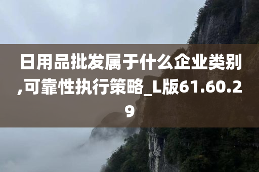 日用品批发属于什么企业类别,可靠性执行策略_L版61.60.29