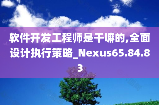 软件开发工程师是干嘛的,全面设计执行策略_Nexus65.84.83