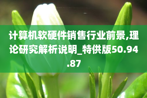 计算机软硬件销售行业前景,理论研究解析说明_特供版50.94.87