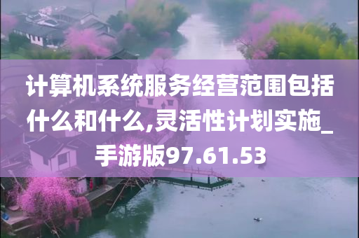 计算机系统服务经营范围包括什么和什么,灵活性计划实施_手游版97.61.53