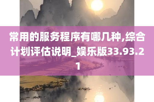 常用的服务程序有哪几种,综合计划评估说明_娱乐版33.93.21