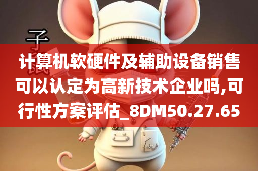 计算机软硬件及辅助设备销售可以认定为高新技术企业吗,可行性方案评估_8DM50.27.65