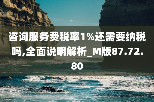 咨询服务费税率1%还需要纳税吗,全面说明解析_M版87.72.80