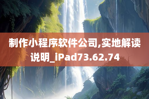 制作小程序软件公司,实地解读说明_iPad73.62.74