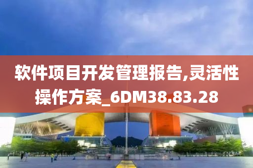 软件项目开发管理报告,灵活性操作方案_6DM38.83.28