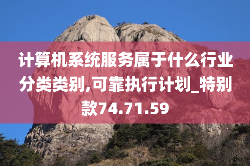 计算机系统服务属于什么行业分类类别,可靠执行计划_特别款74.71.59