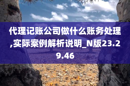 代理记账公司做什么账务处理,实际案例解析说明_N版23.29.46