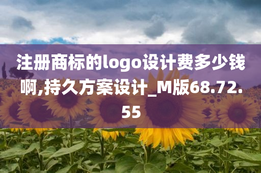 注册商标的logo设计费多少钱啊,持久方案设计_M版68.72.55